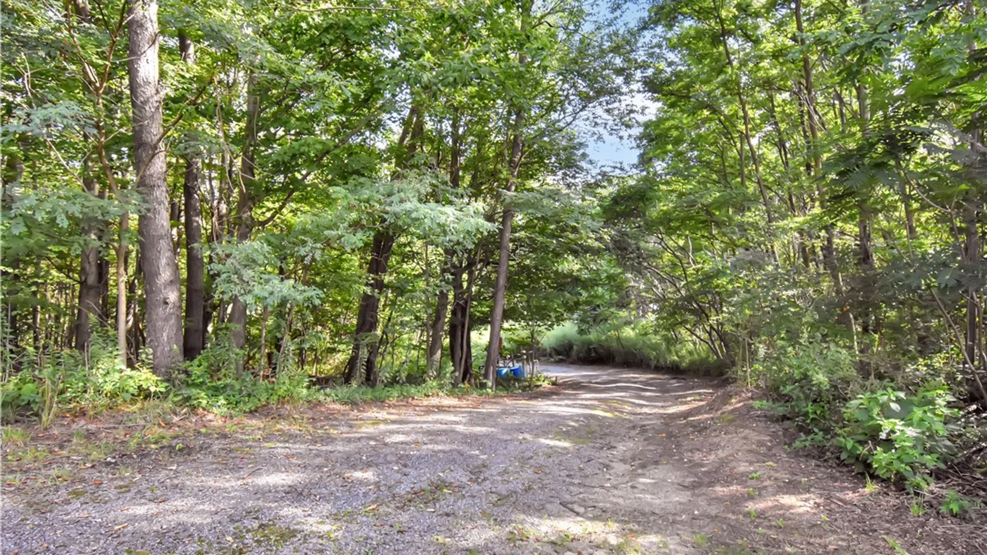 Property at 7883 Thayer Road, Portland, NY 14769 24