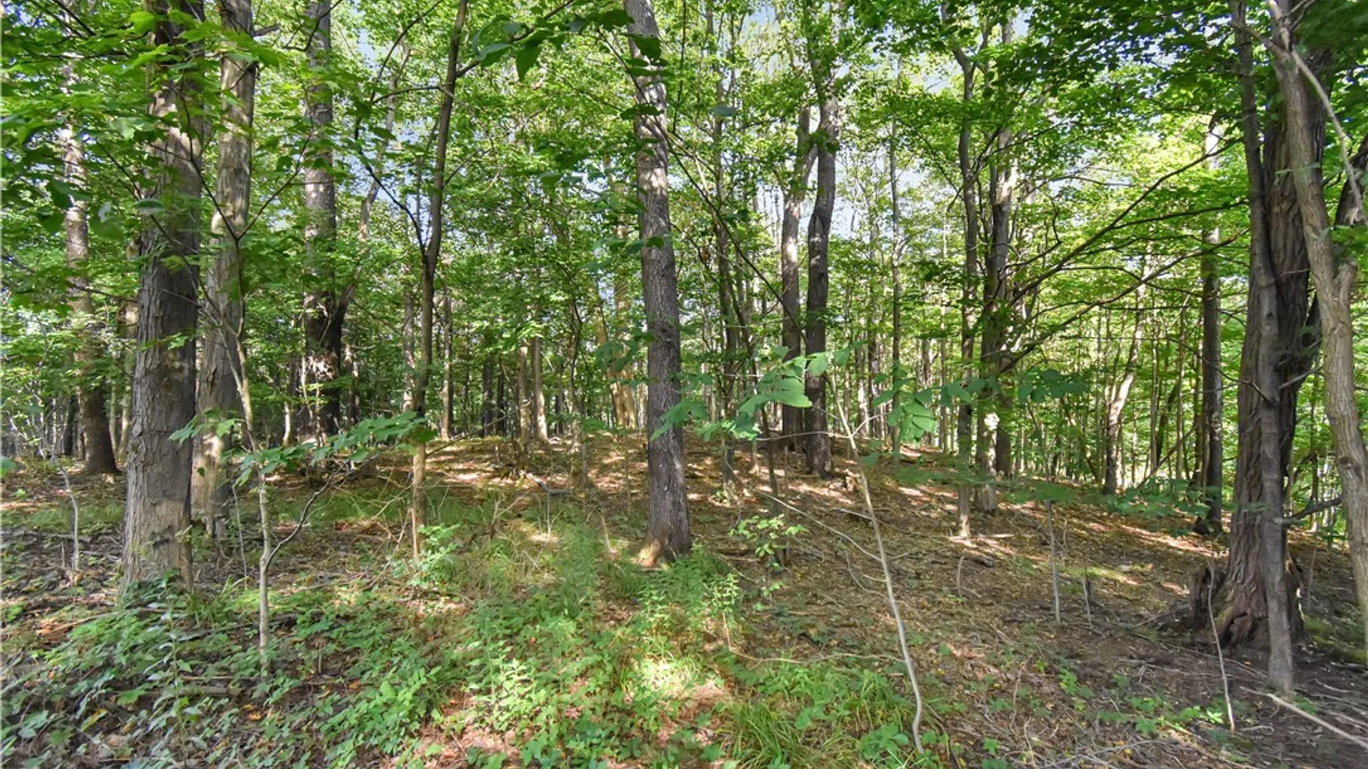 Property at 7883 Thayer Road, Portland, NY 14769 4