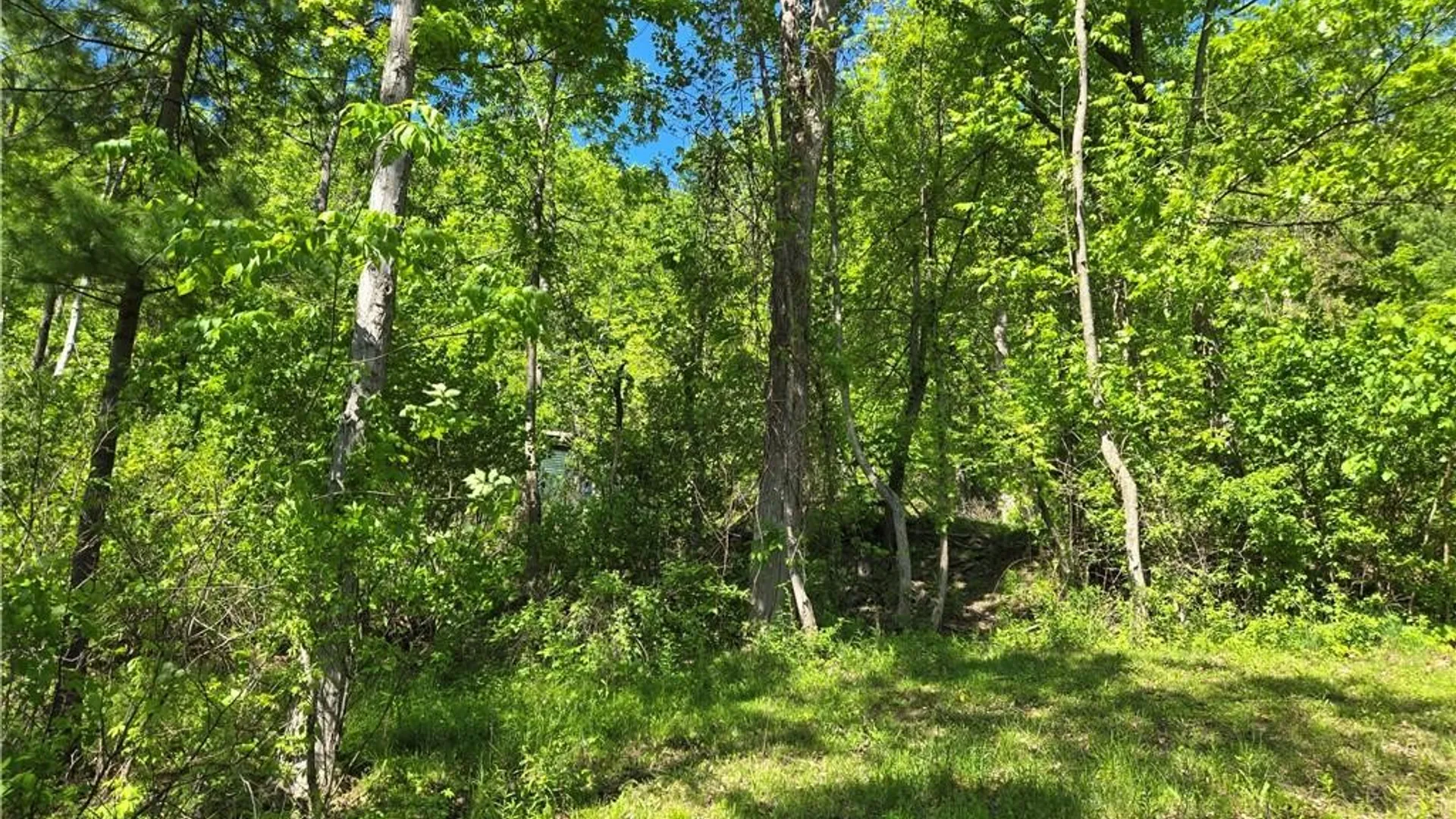 Property at 6340 County Road 36, Canadice, NY 14471 22