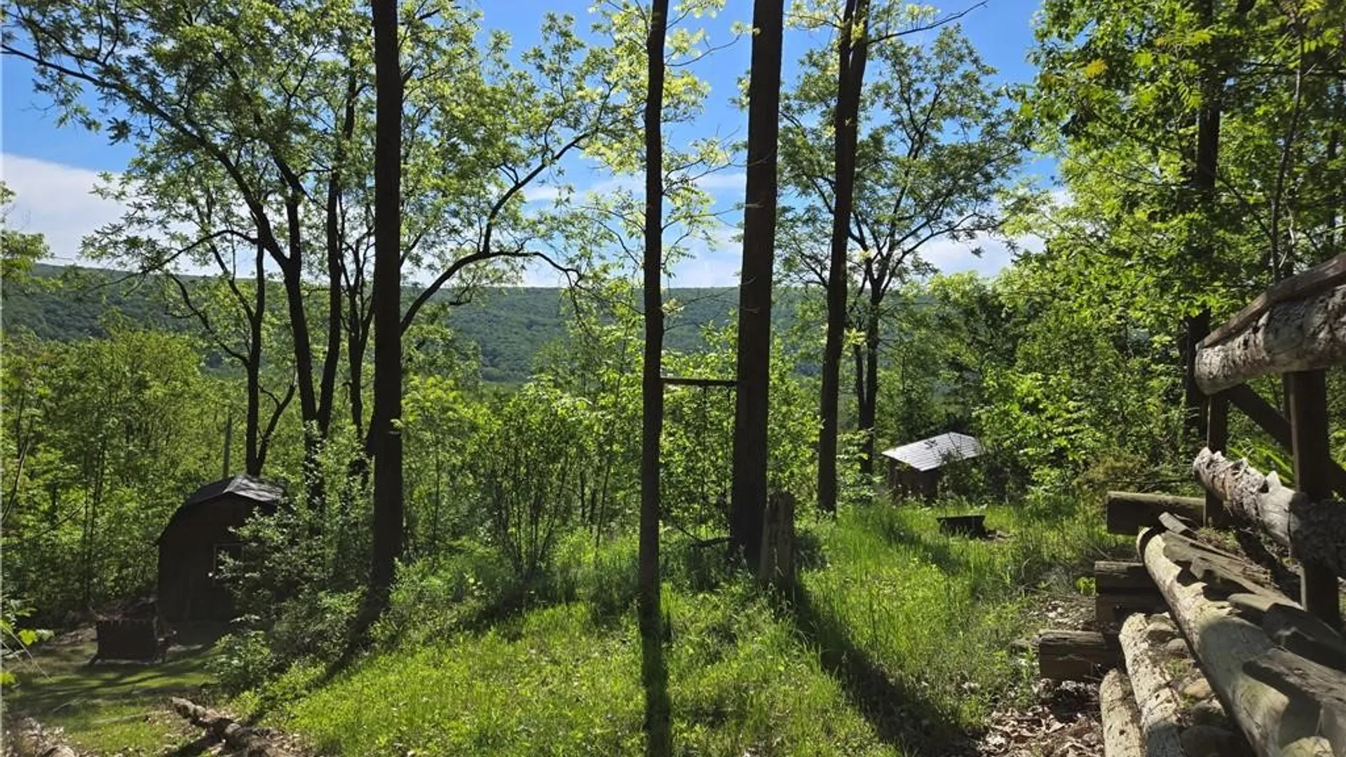 Property at 6340 County Road 36, Canadice, NY 14471 24