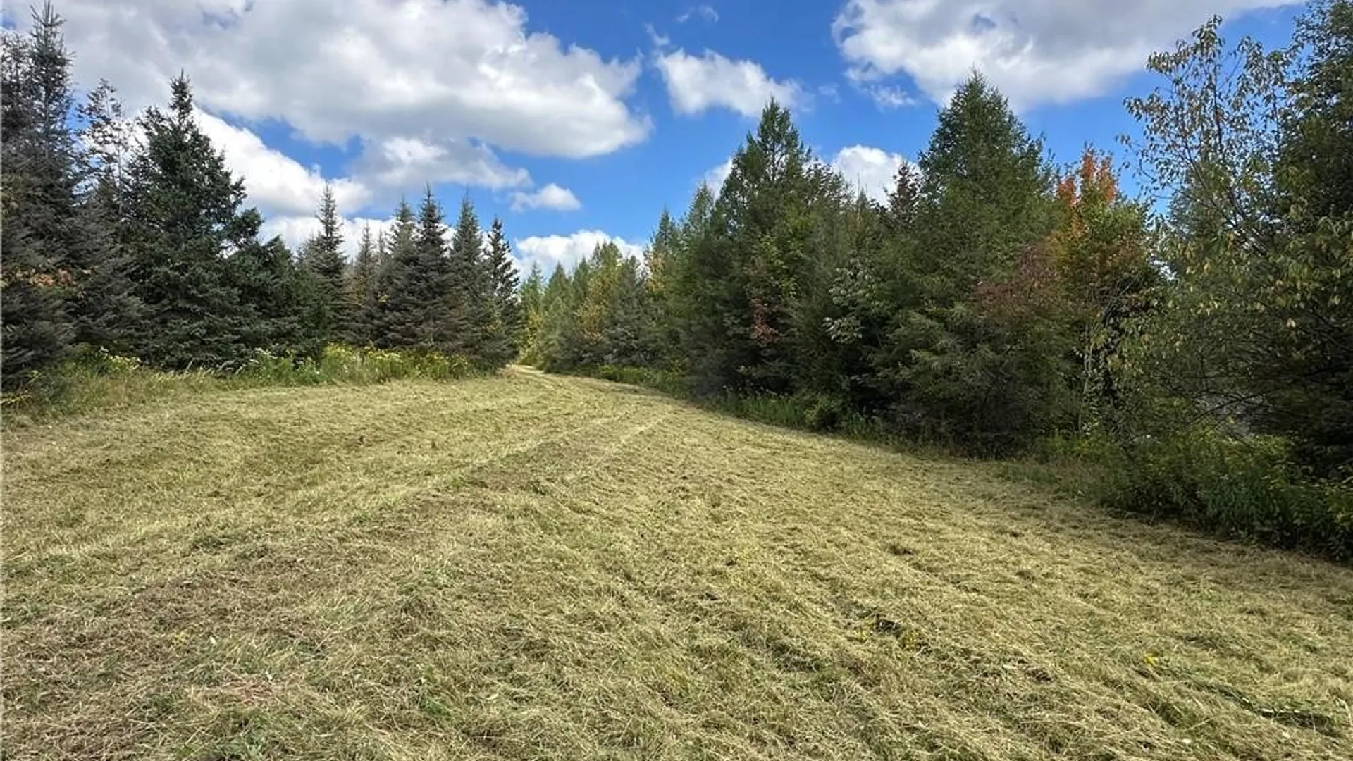 Property at Lot 7 McAndrews Road, Alfred, NY 14806 9