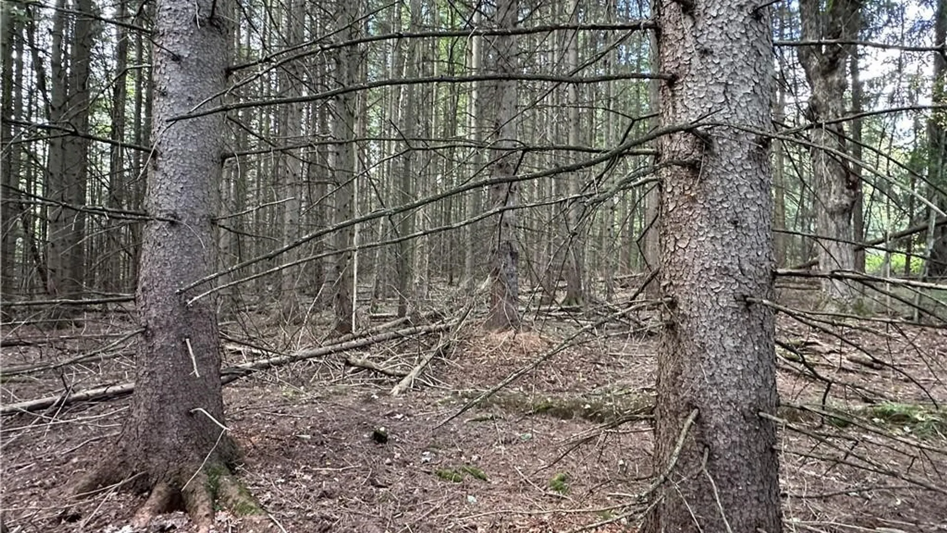 Property at Lot 7 McAndrews Road, Alfred, NY 14806 11