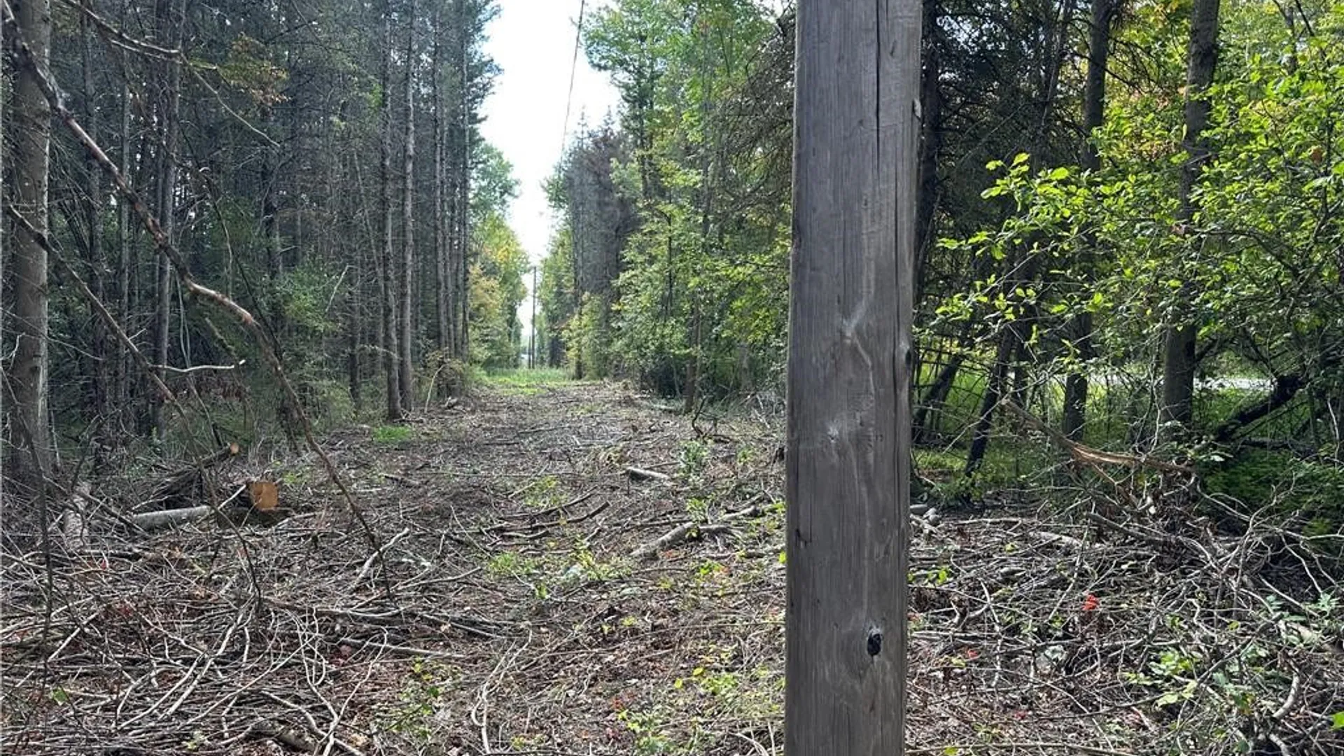 Property at Lot 7 McAndrews Road, Alfred, NY 14806 18