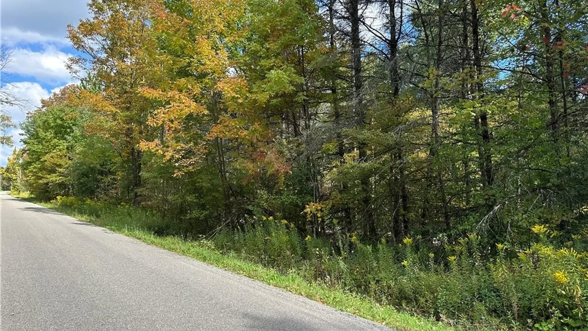 Property at Lot 7 McAndrews Road, Alfred, NY 14806 21