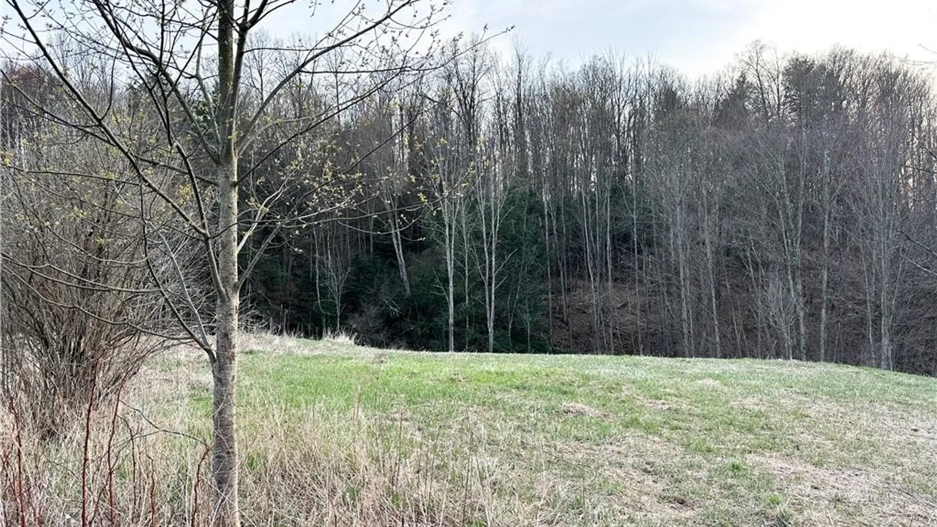 Property at Lot 10 Brennan Road, Tuscarora, NY 14801 6