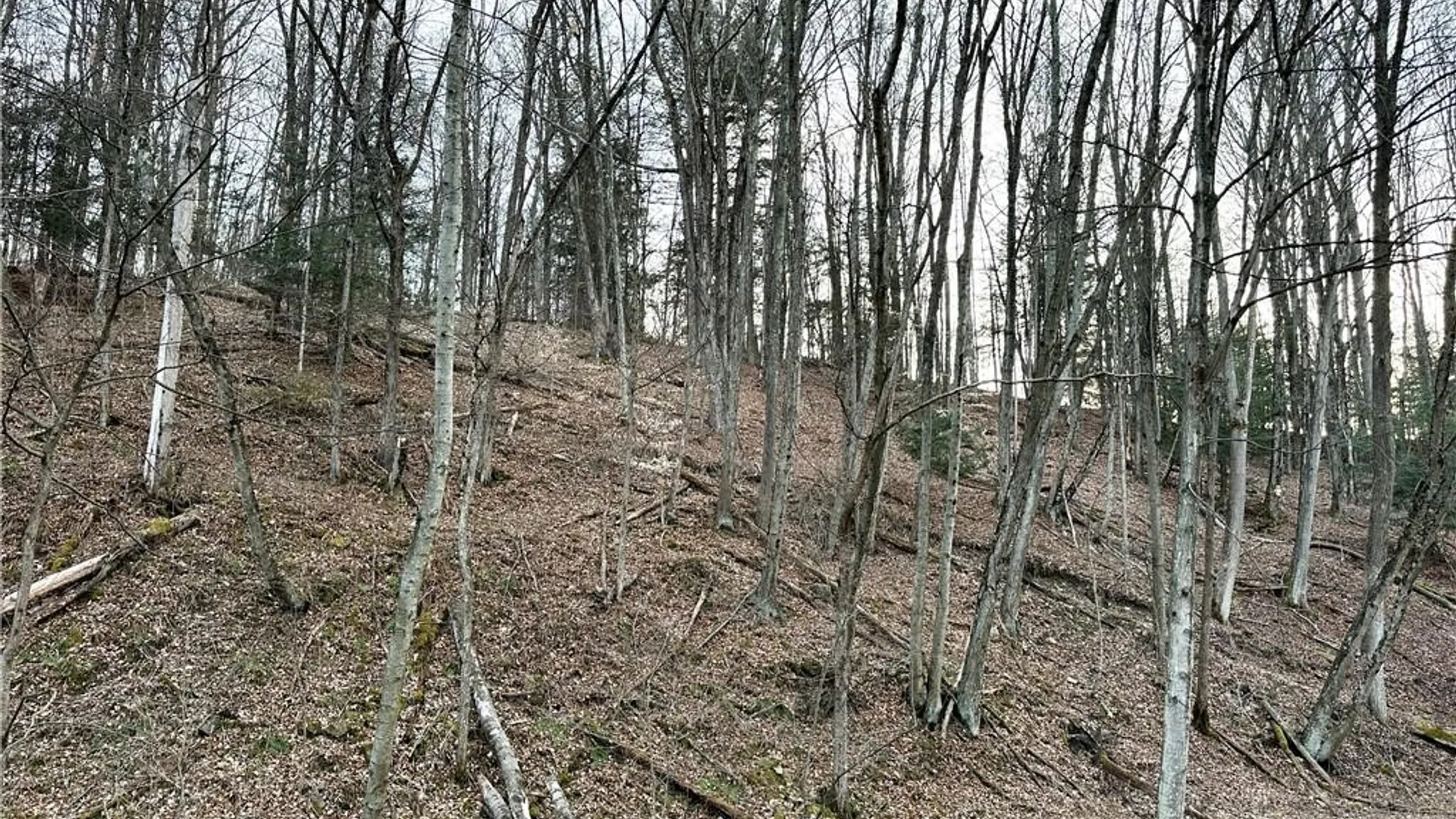 Property at Lot 10 Brennan Road, Tuscarora, NY 14801 13