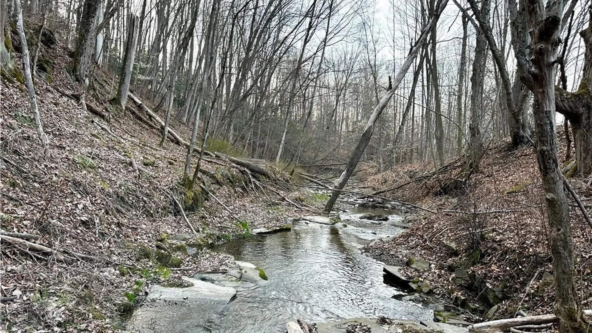 Property at Lot 10 Brennan Road, Tuscarora, NY 14801 16