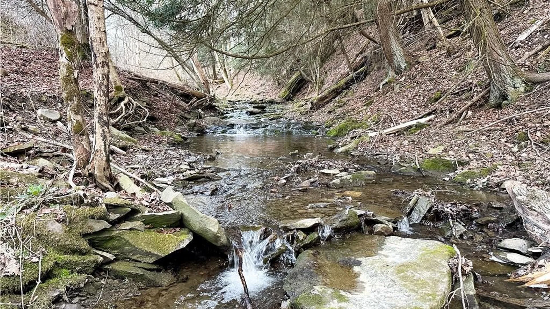 Property at Lot 10 Brennan Road, Tuscarora, NY 14801 18