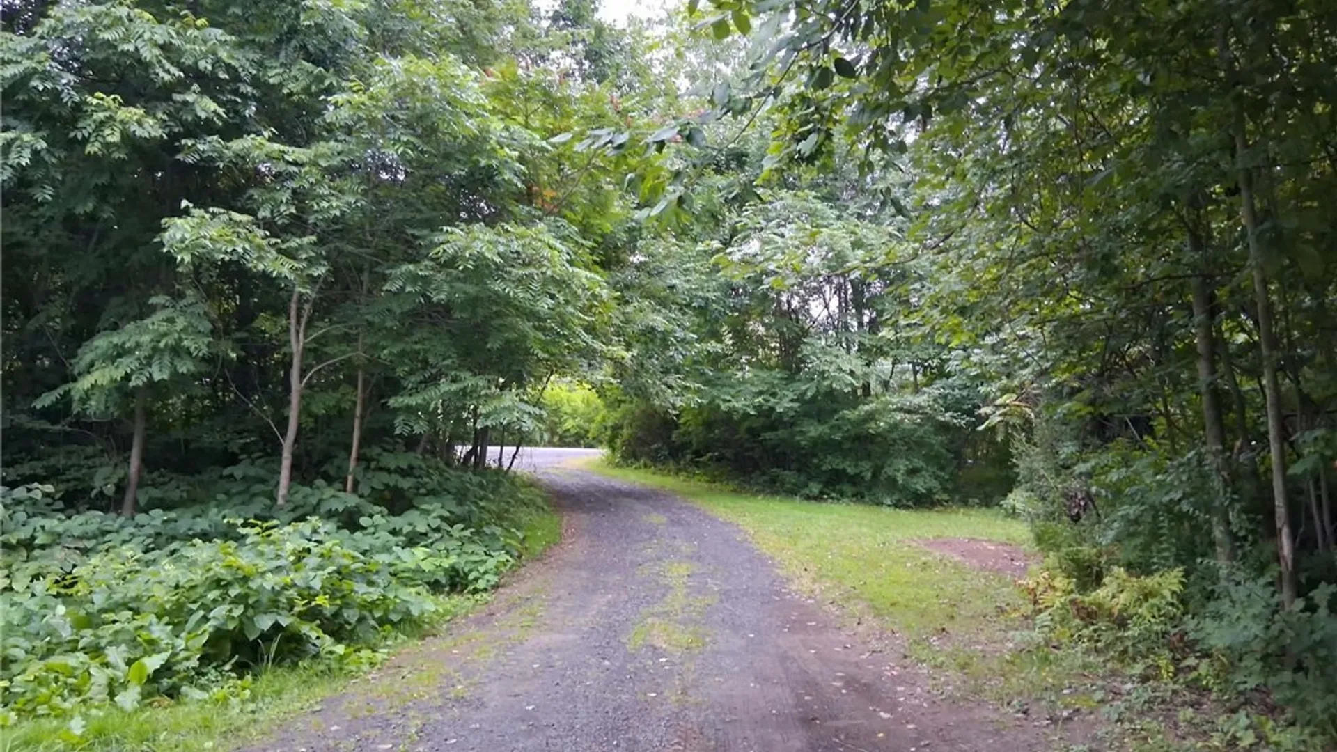 Property at 2165 Rabbit Lane, Lysander, NY 13135 5