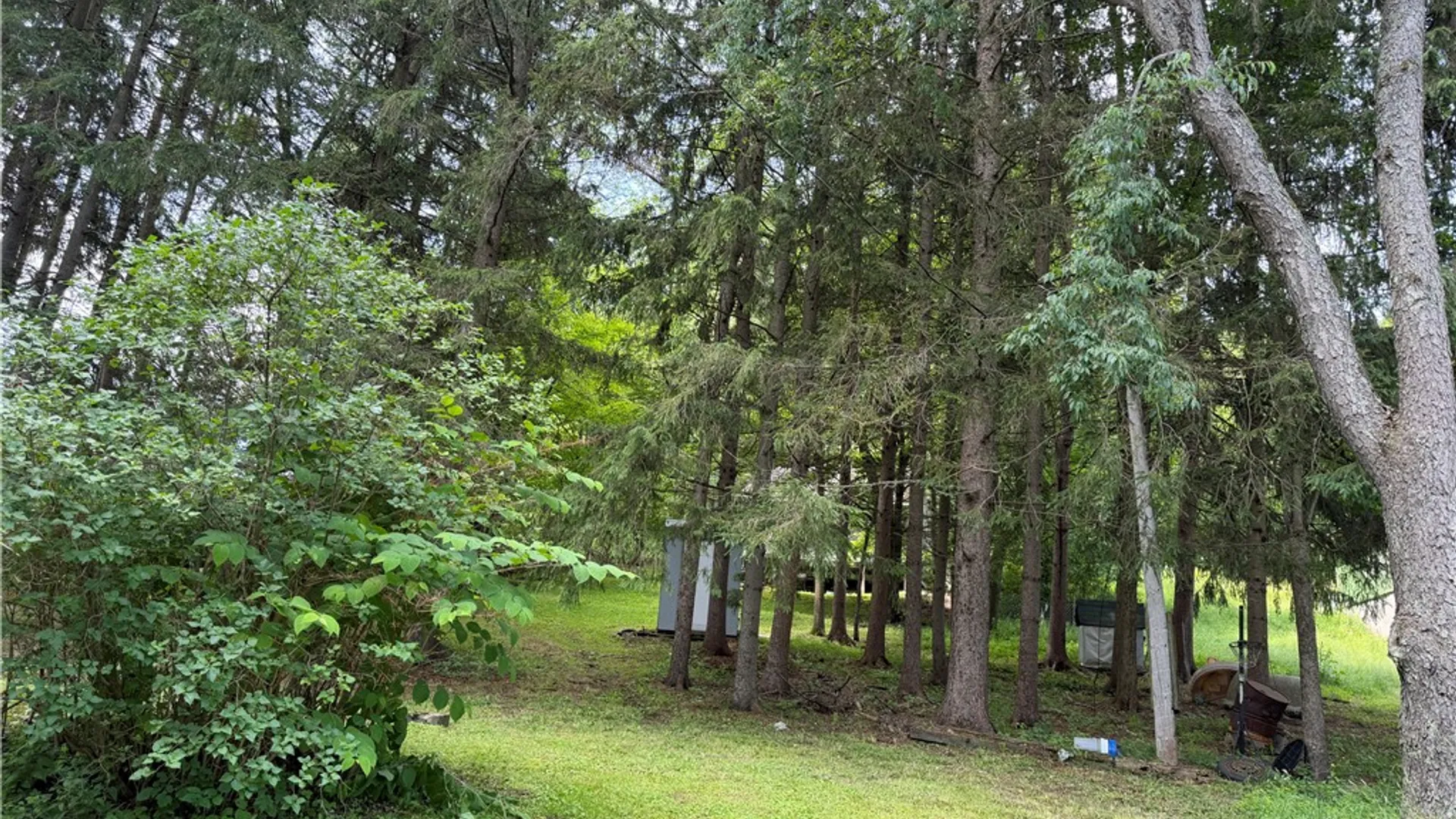 Property at 7847 Gayhart Road, West Almond, NY 14804 3