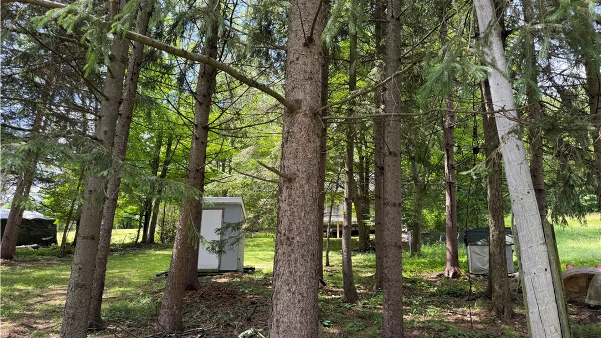 Property at 7847 Gayhart Road, West Almond, NY 14804 4