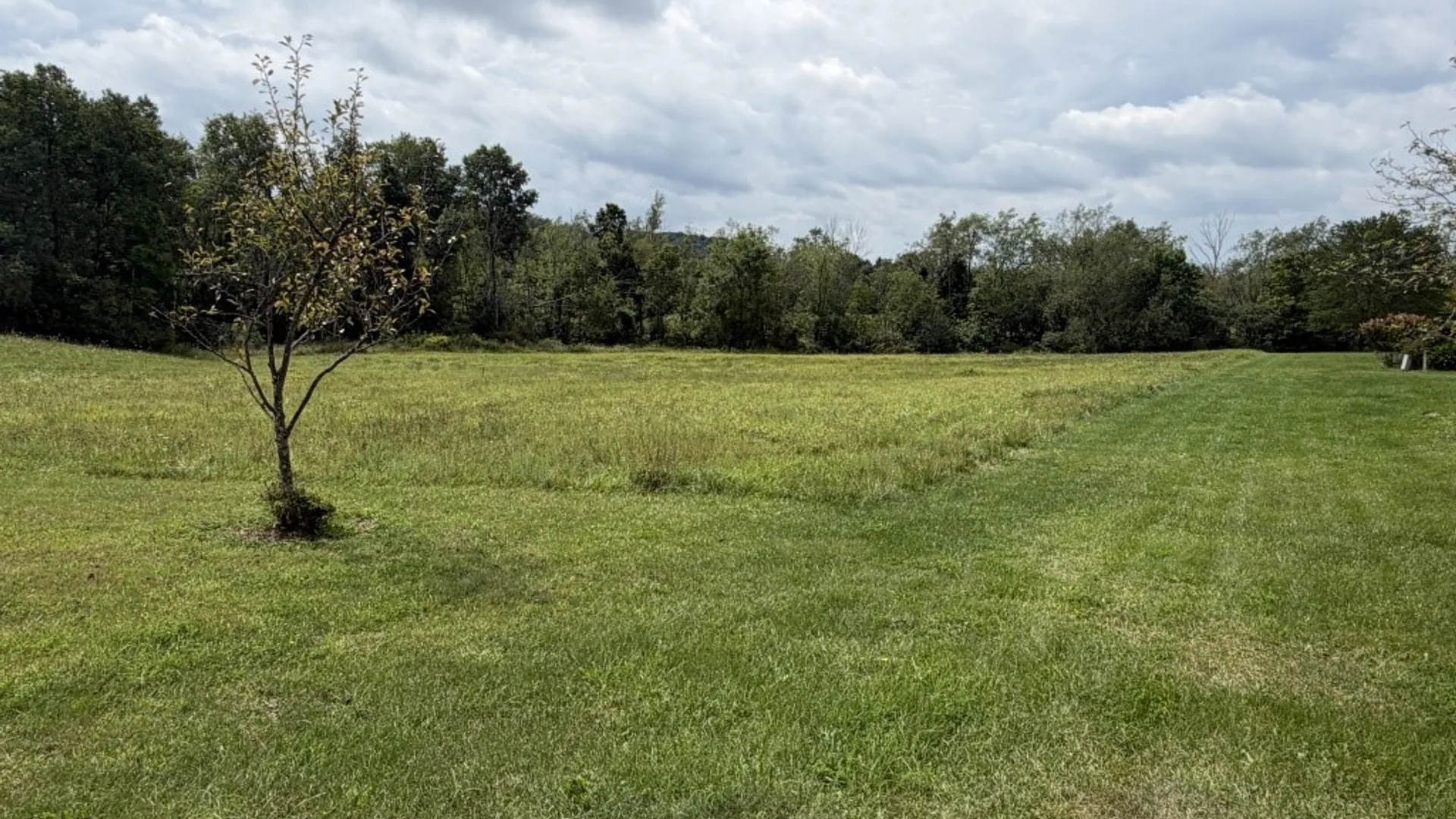 Property at 100 Tiffany Lane, Carroll, NY 14738 31