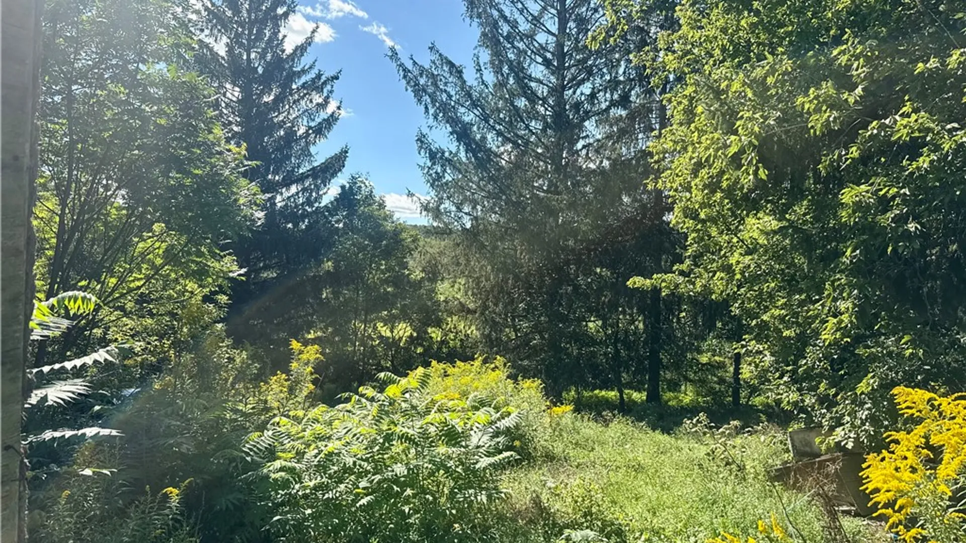 Property at 6955 State Highway 51, Exeter, NY 13491 5