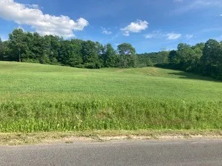 Property at River Road, Butternuts, NY 13809