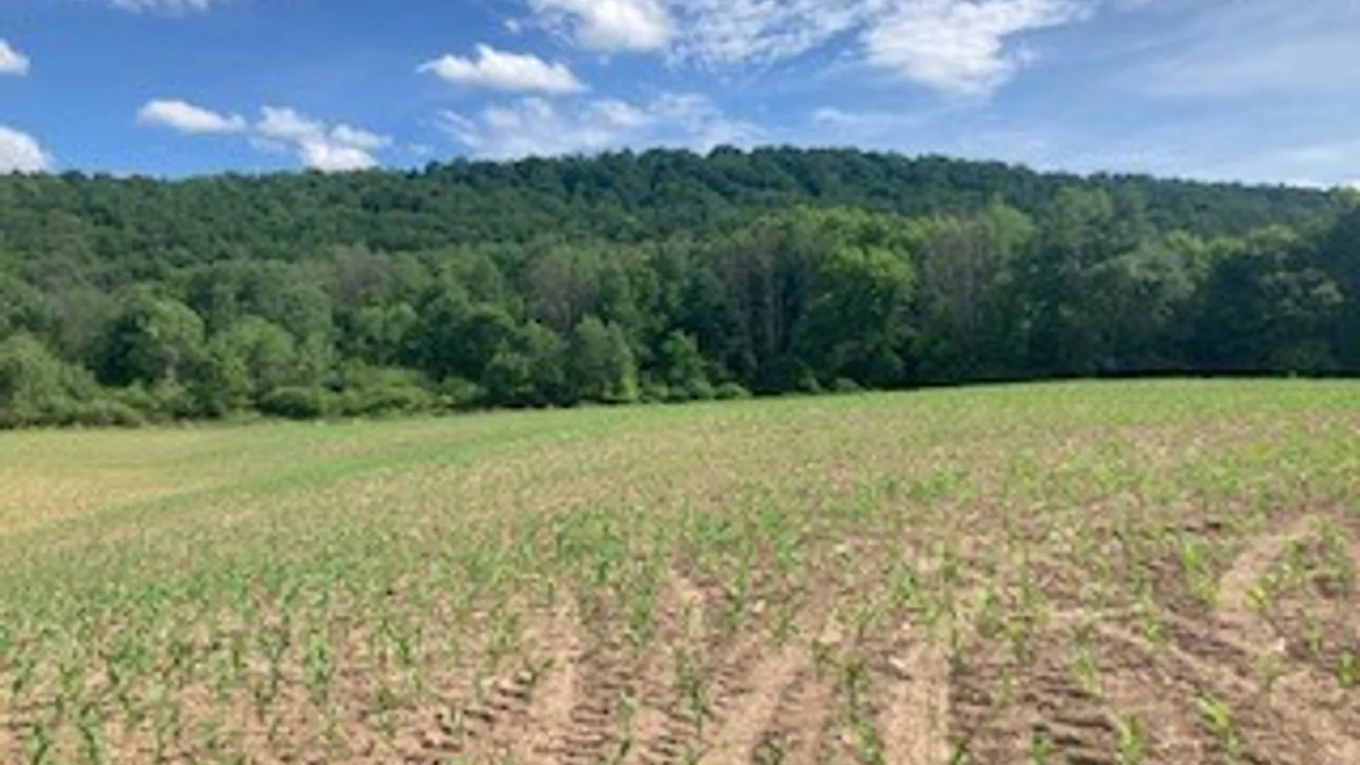 Property at River Road, Butternuts, NY 13809 3
