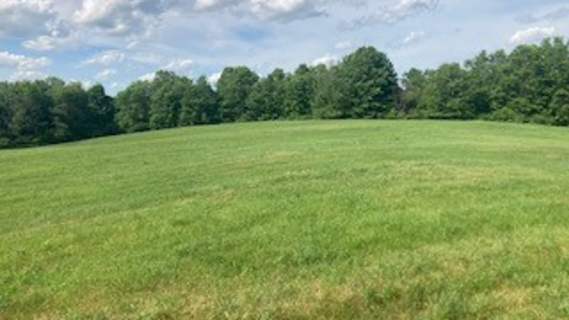 Property at River Road, Butternuts, NY 13809 7