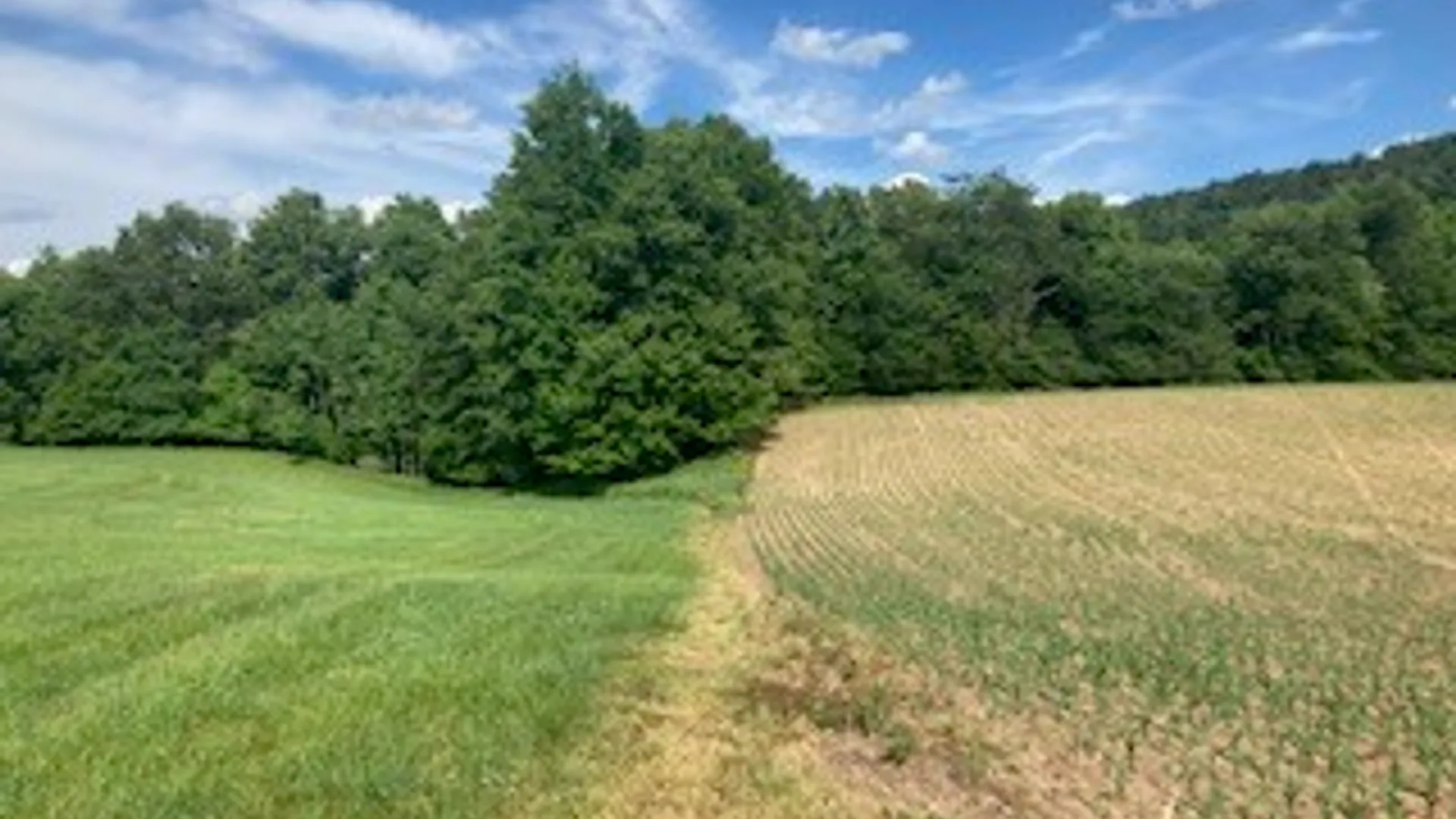Property at River Road, Butternuts, NY 13809 8