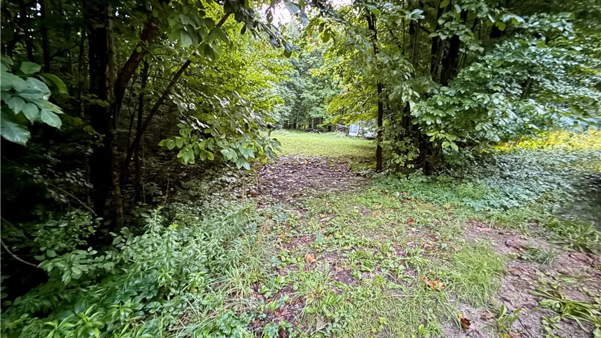 Property at 399 California Road, Fowler, NY 13642 15