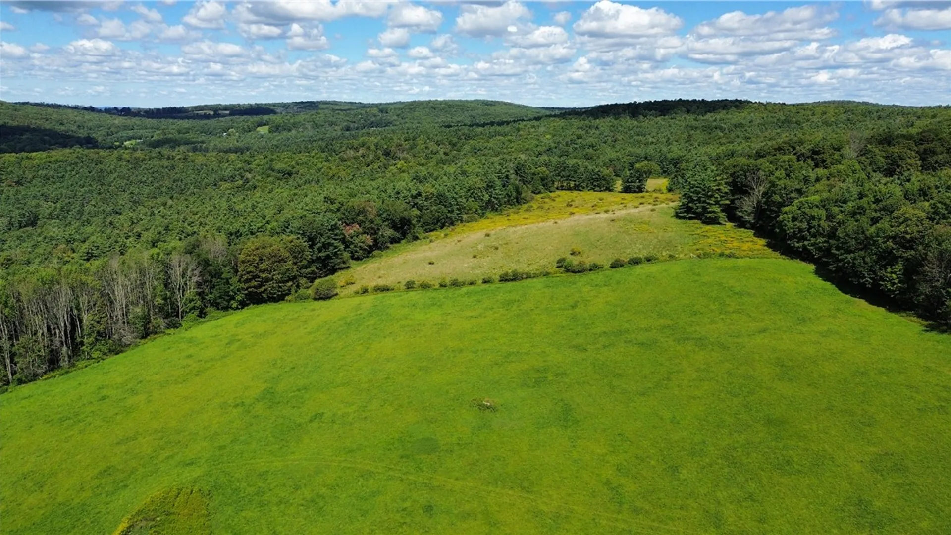 Property at 149 Will Sheldon Road, Otego, NY 13825 42
