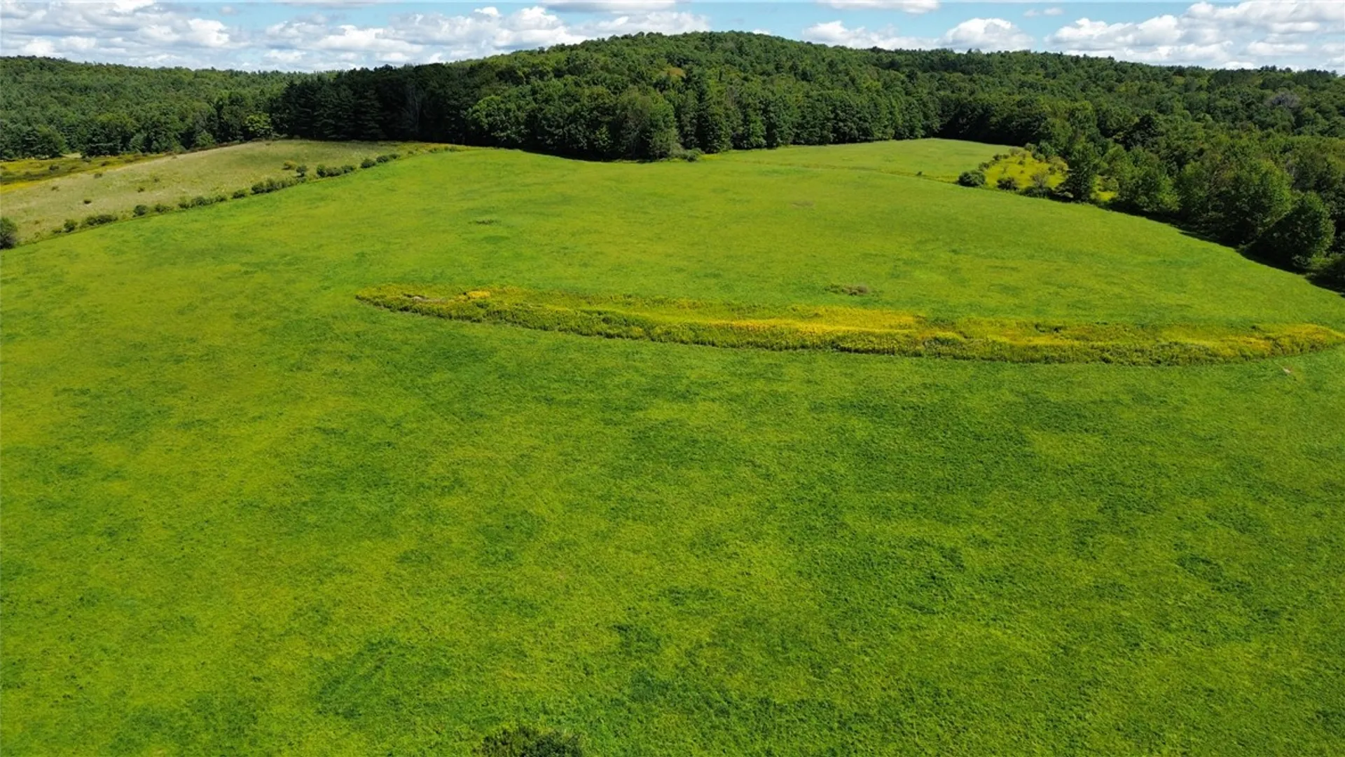 Property at 149 Will Sheldon Road, Otego, NY 13825 44