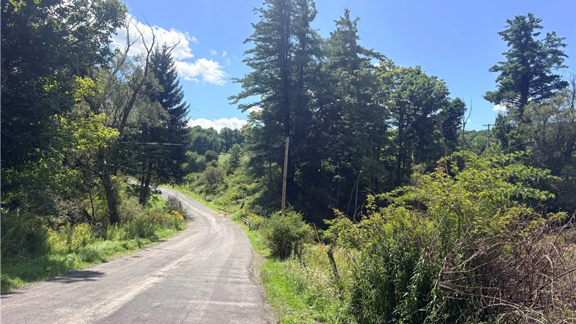 Property at 149 Will Sheldon Road, Otego, NY 13825 49