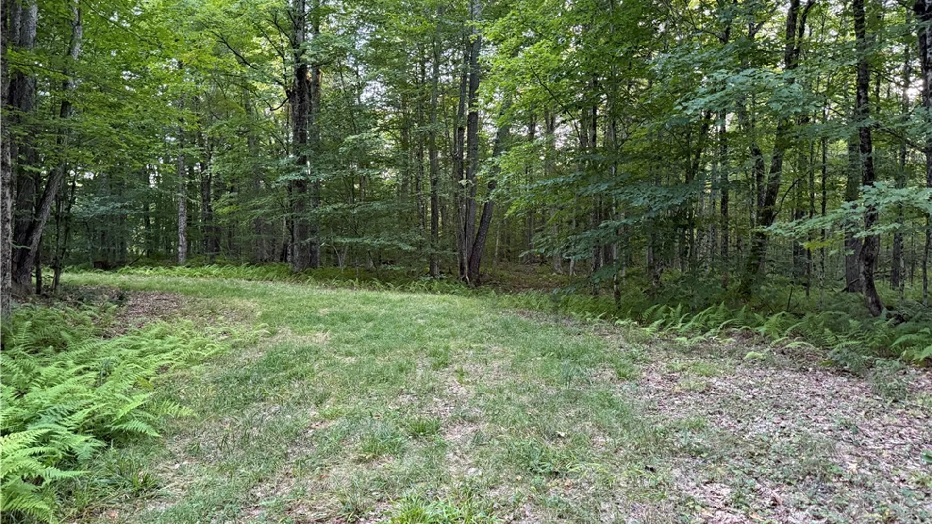 Property at Lot 1 River Road, Boonville, NY 13309 8
