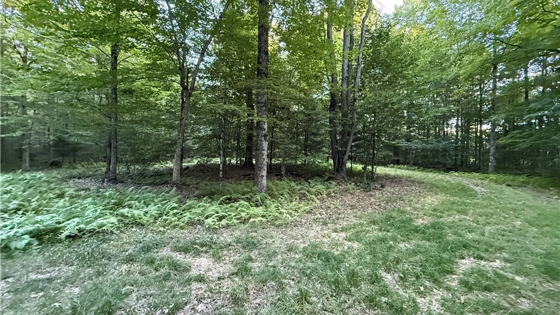 Property at Lot 1 River Road, Boonville, NY 13309 9