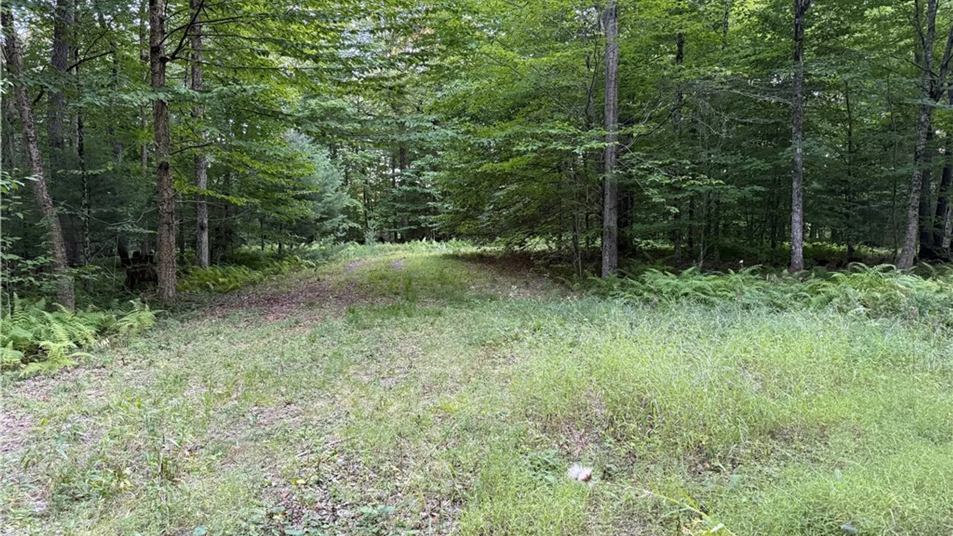 Property at Lot 1 River Road, Boonville, NY 13309 12