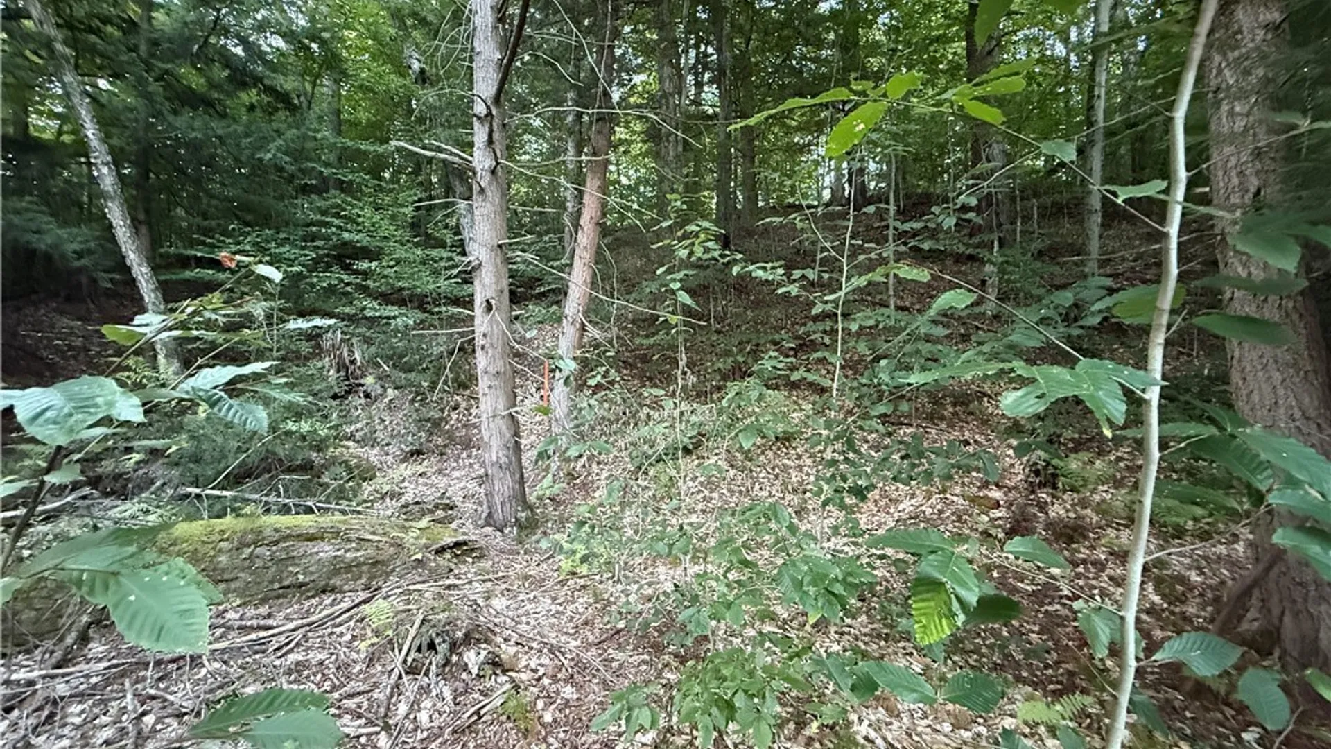 Property at Lot #2 River Road, Boonville, NY 13309 4