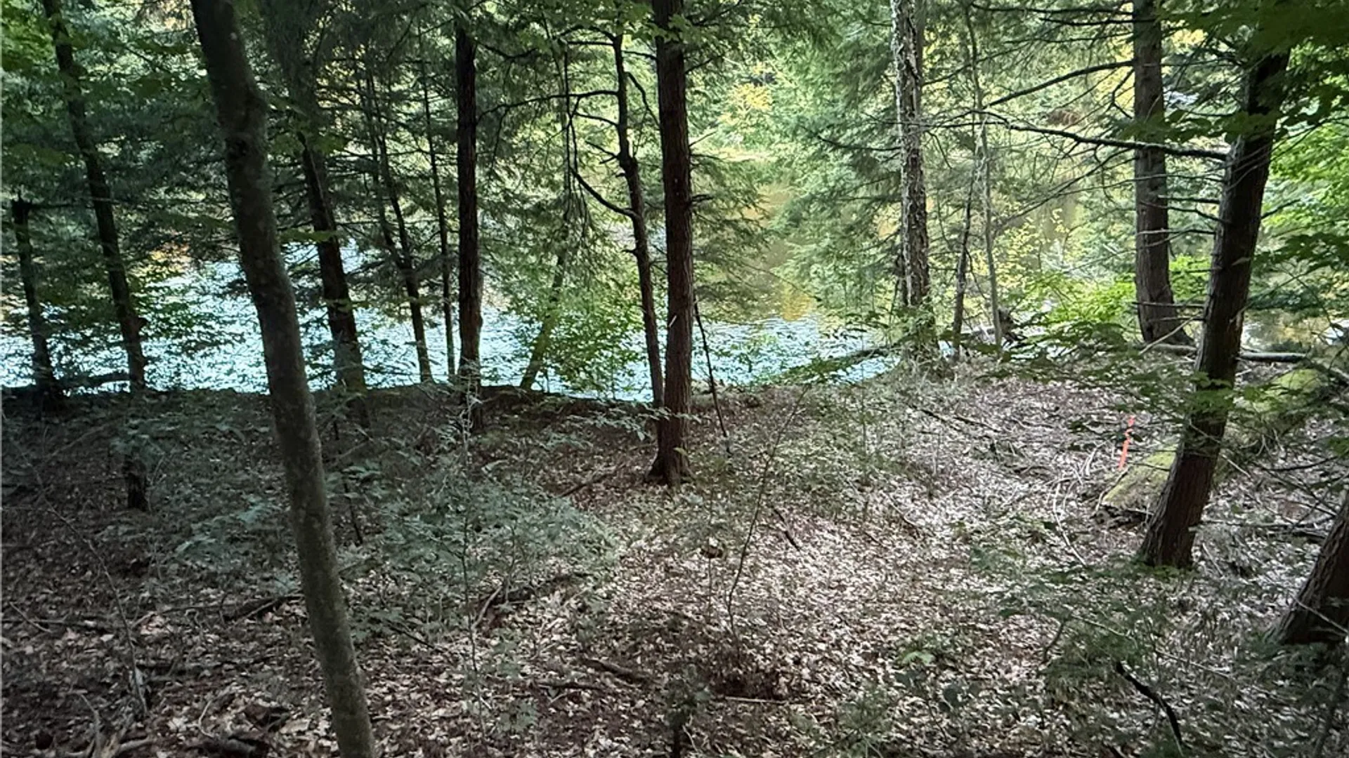 Property at Lot #2 River Road, Boonville, NY 13309 6