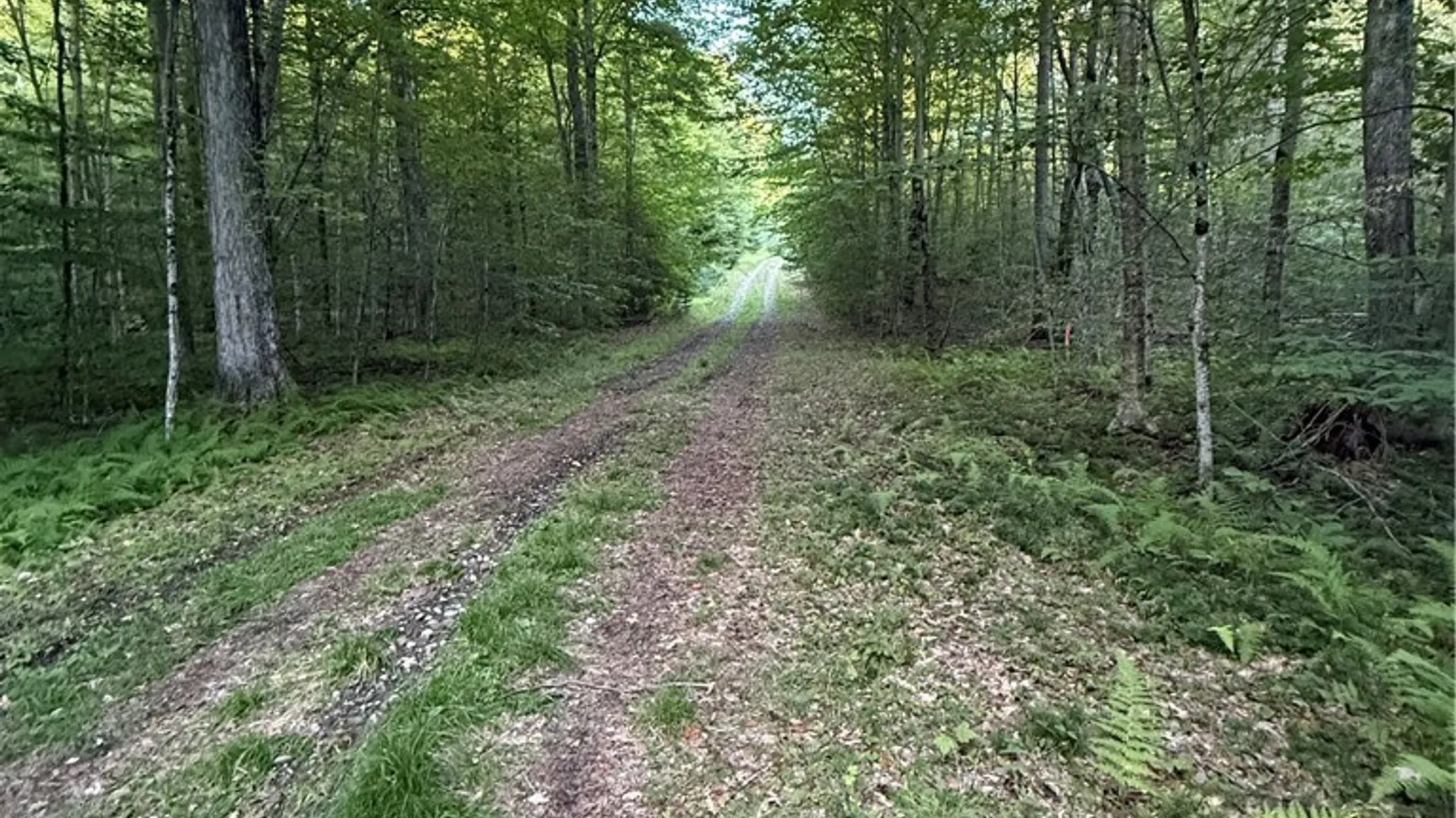 Property at Lot #2 River Road, Boonville, NY 13309 7