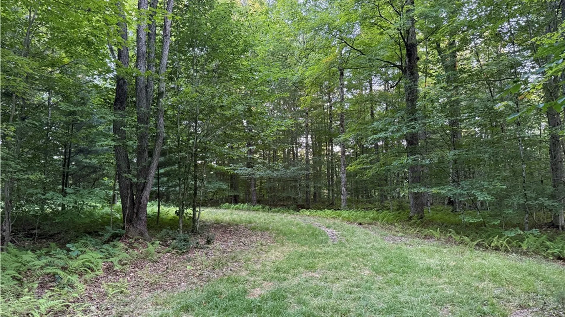 Property at Lot #2 River Road, Boonville, NY 13309 9