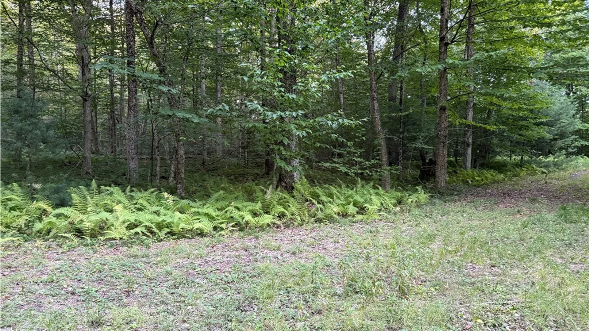Property at Lot #2 River Road, Boonville, NY 13309 11