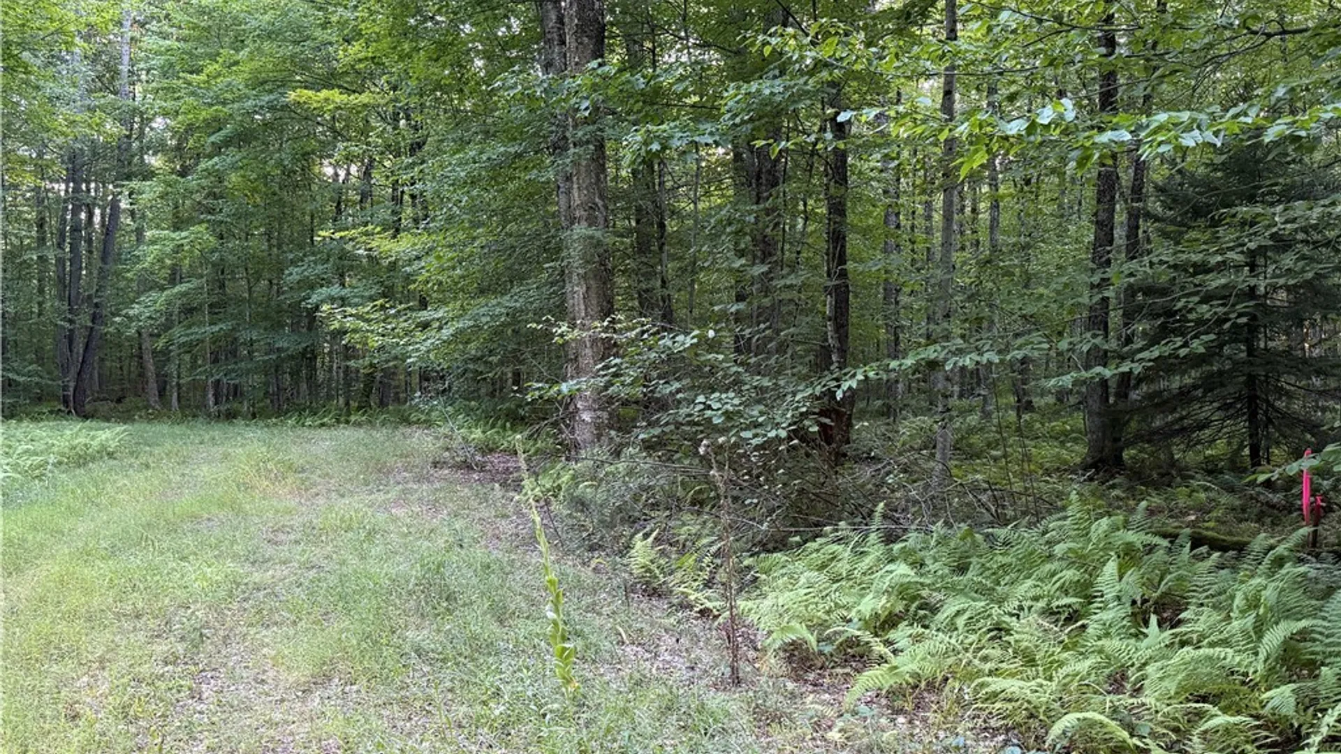 Property at Lot #2 River Road, Boonville, NY 13309 14