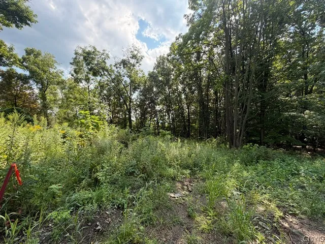 Property at 4627 State Route 414, Hector, NY 14818