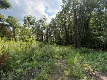 Property at 4627 State Route 414, Hector, NY 14818