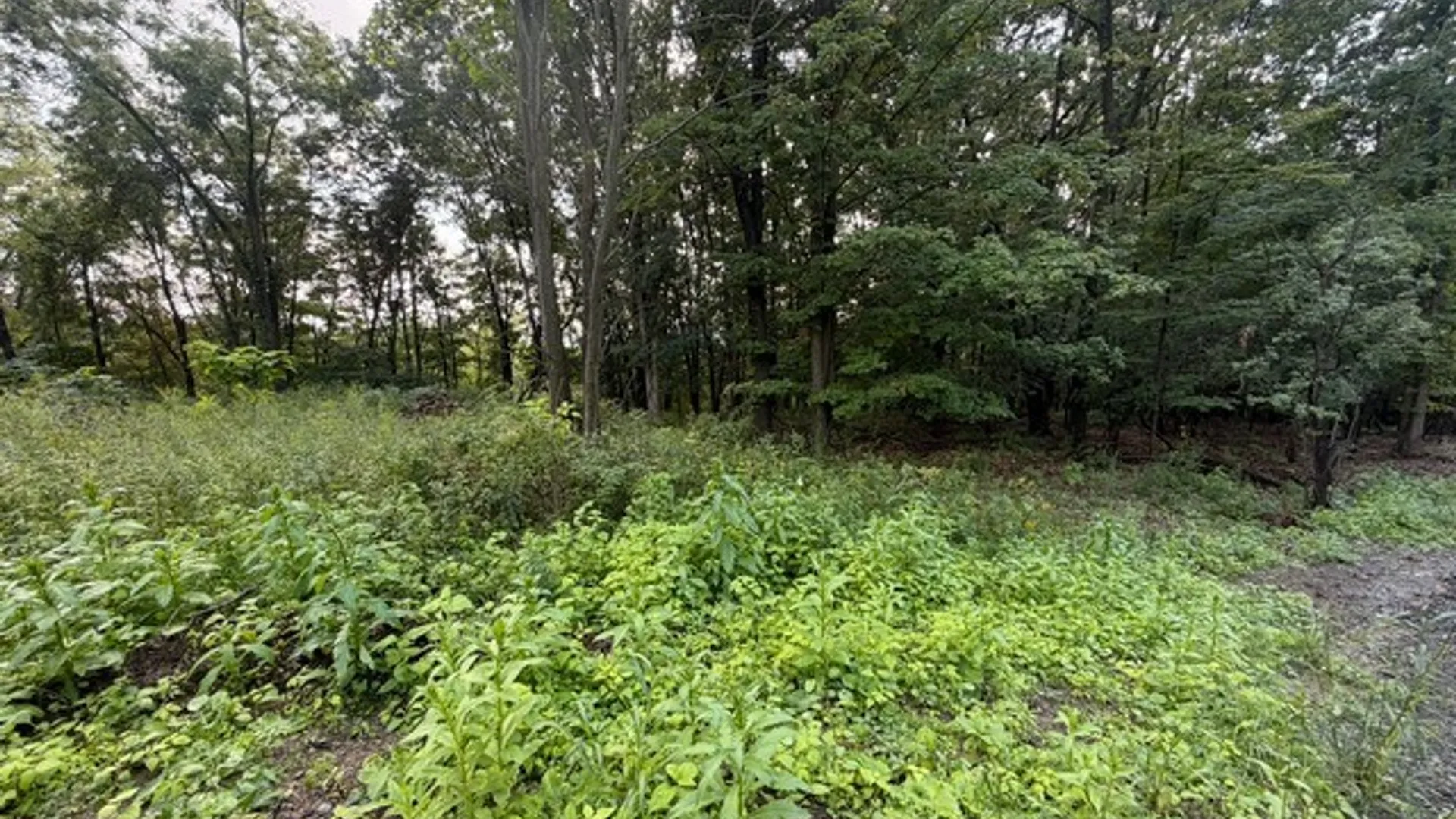 Property at 4627 State Route 414, Hector, NY 14818 3