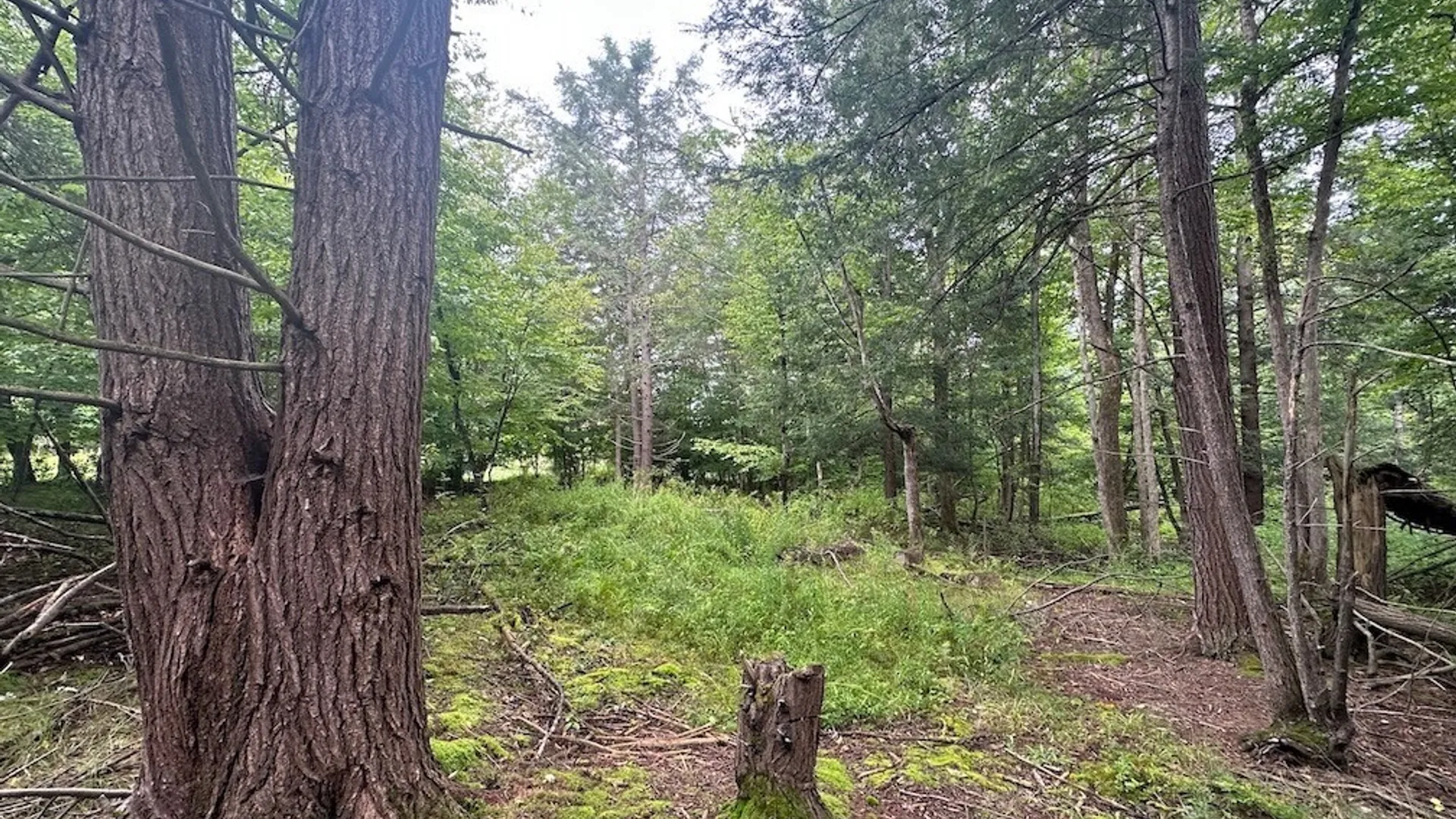 Property at 5416 Saunders Hill Road, Amity, NY 14813 3