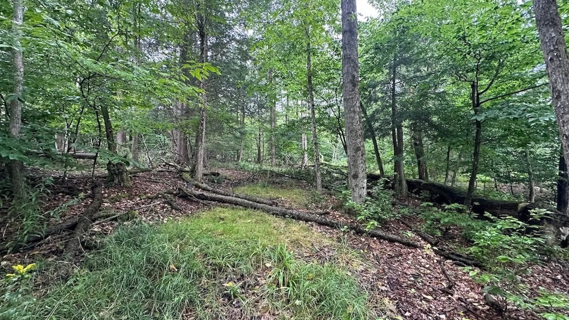 Property at 5416 Saunders Hill Road, Amity, NY 14813 5