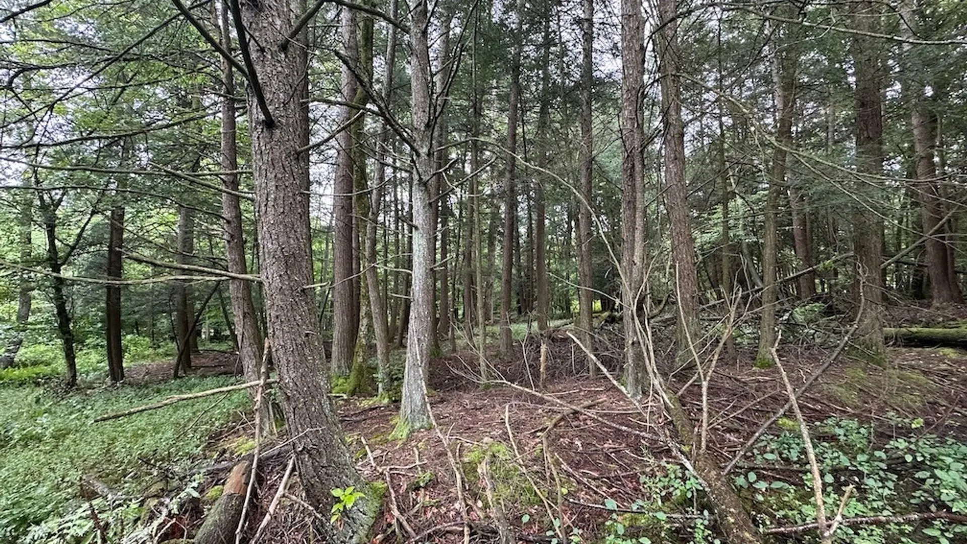 Property at 5416 Saunders Hill Road, Amity, NY 14813 10
