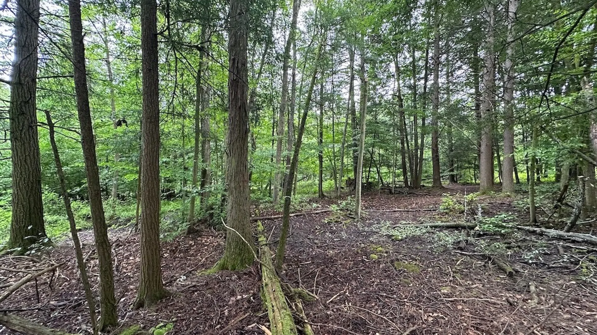 Property at 5416 Saunders Hill Road, Amity, NY 14813 11