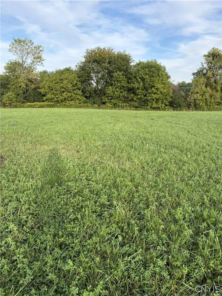 Property at 3936 East Road, West Turin, NY 13473