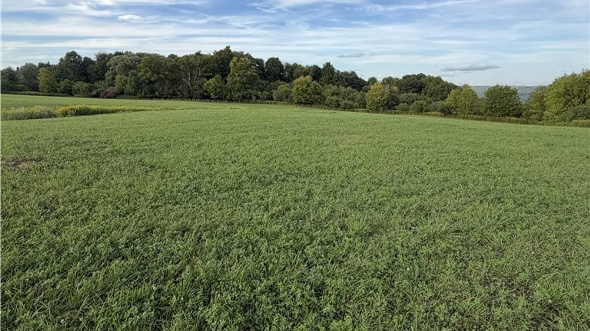 Property at 3936 East Road, West Turin, NY 13473 3