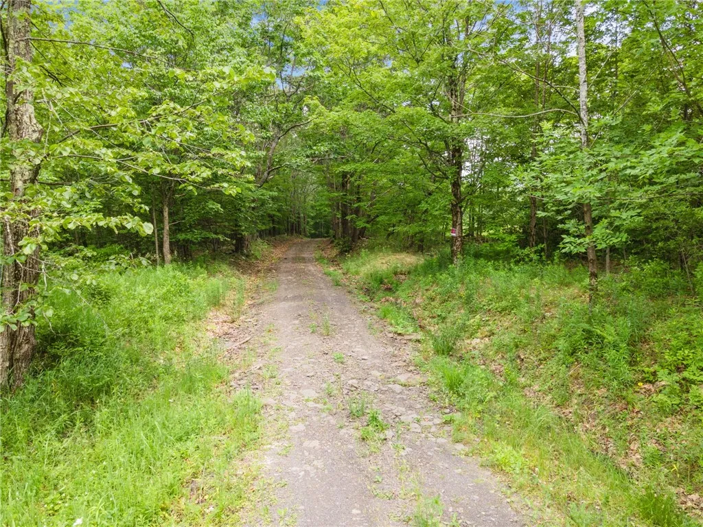 Property at 255 Lassen Road, Broome, NY 12122