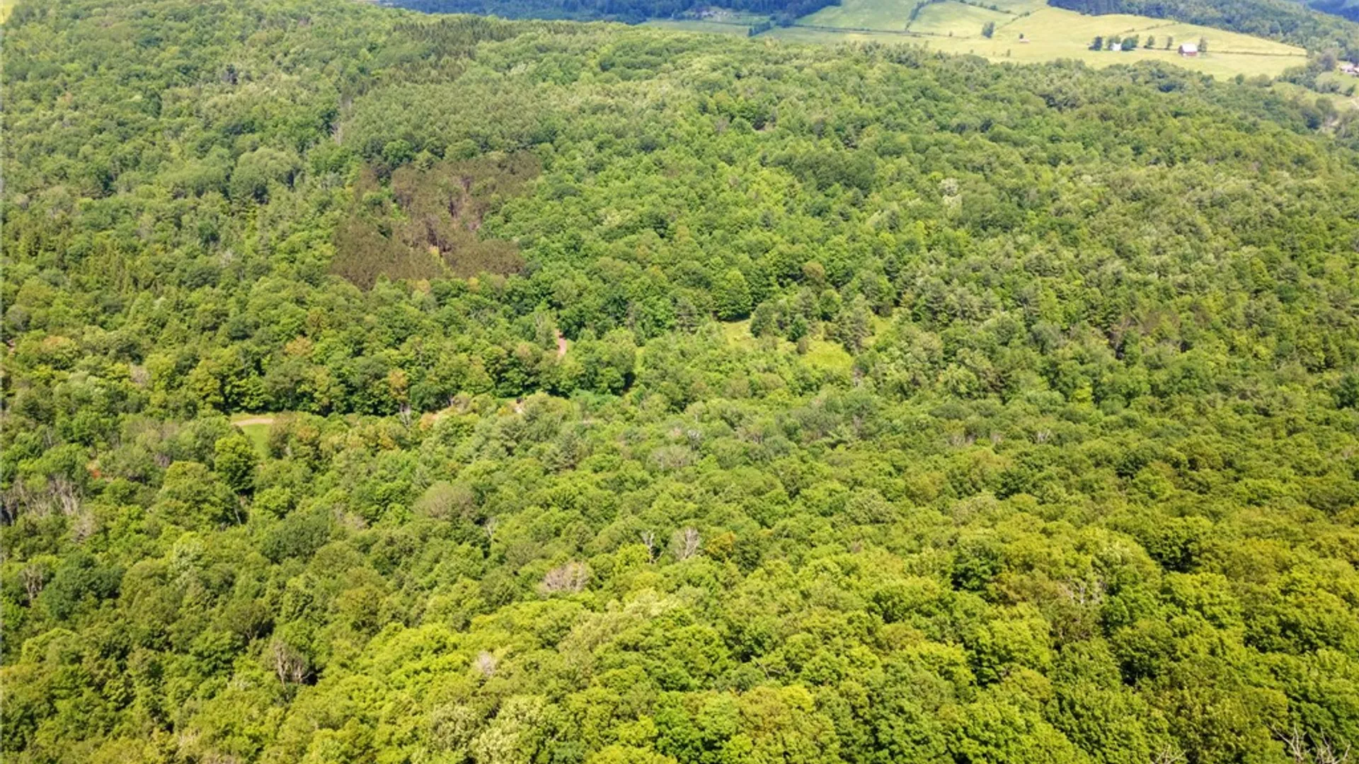 Property at 255 Lassen Road, Broome, NY 12122 6