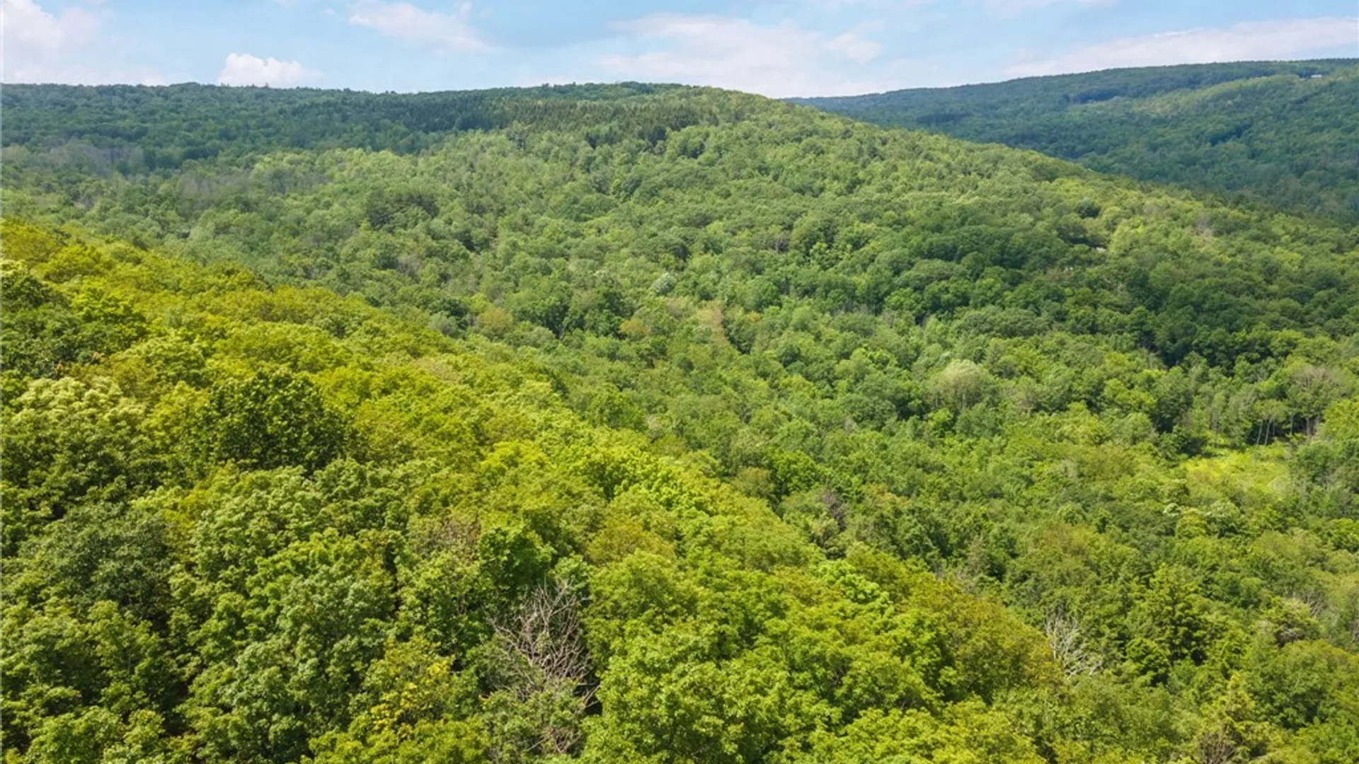 Property at 255 Lassen Road, Broome, NY 12122 11