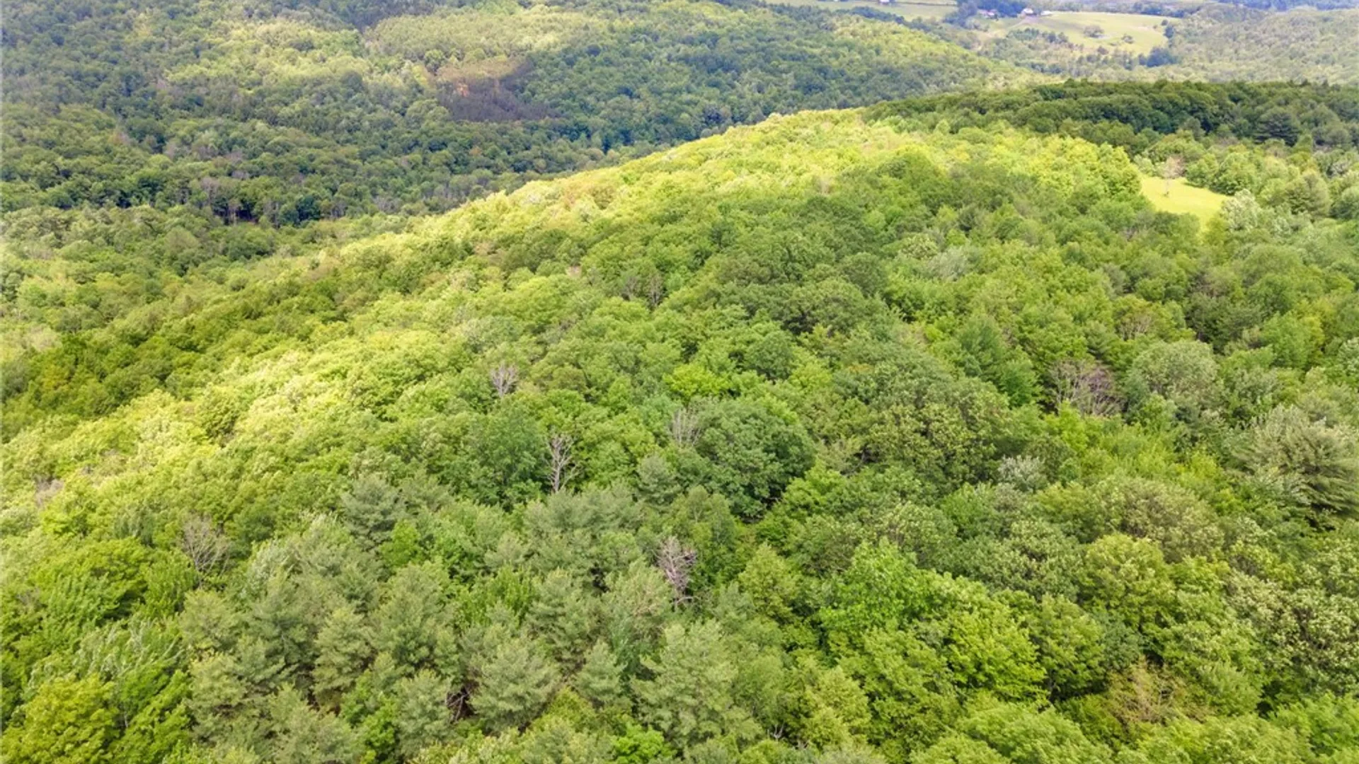 Property at 255 Lassen Road, Broome, NY 12122 12