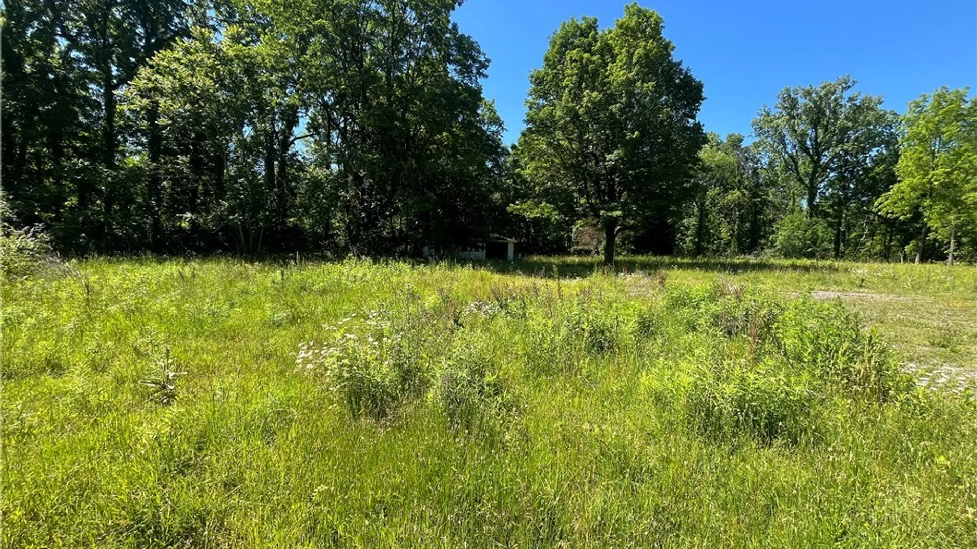Property at 4880 Ransom Road, Clarence, NY 14301 13