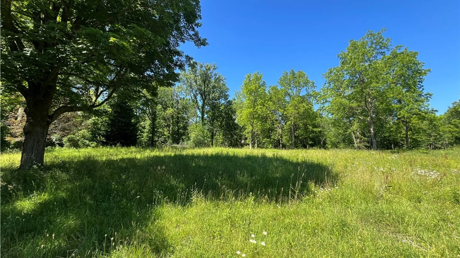 Property at 4880 Ransom Road, Clarence, NY 14301 14