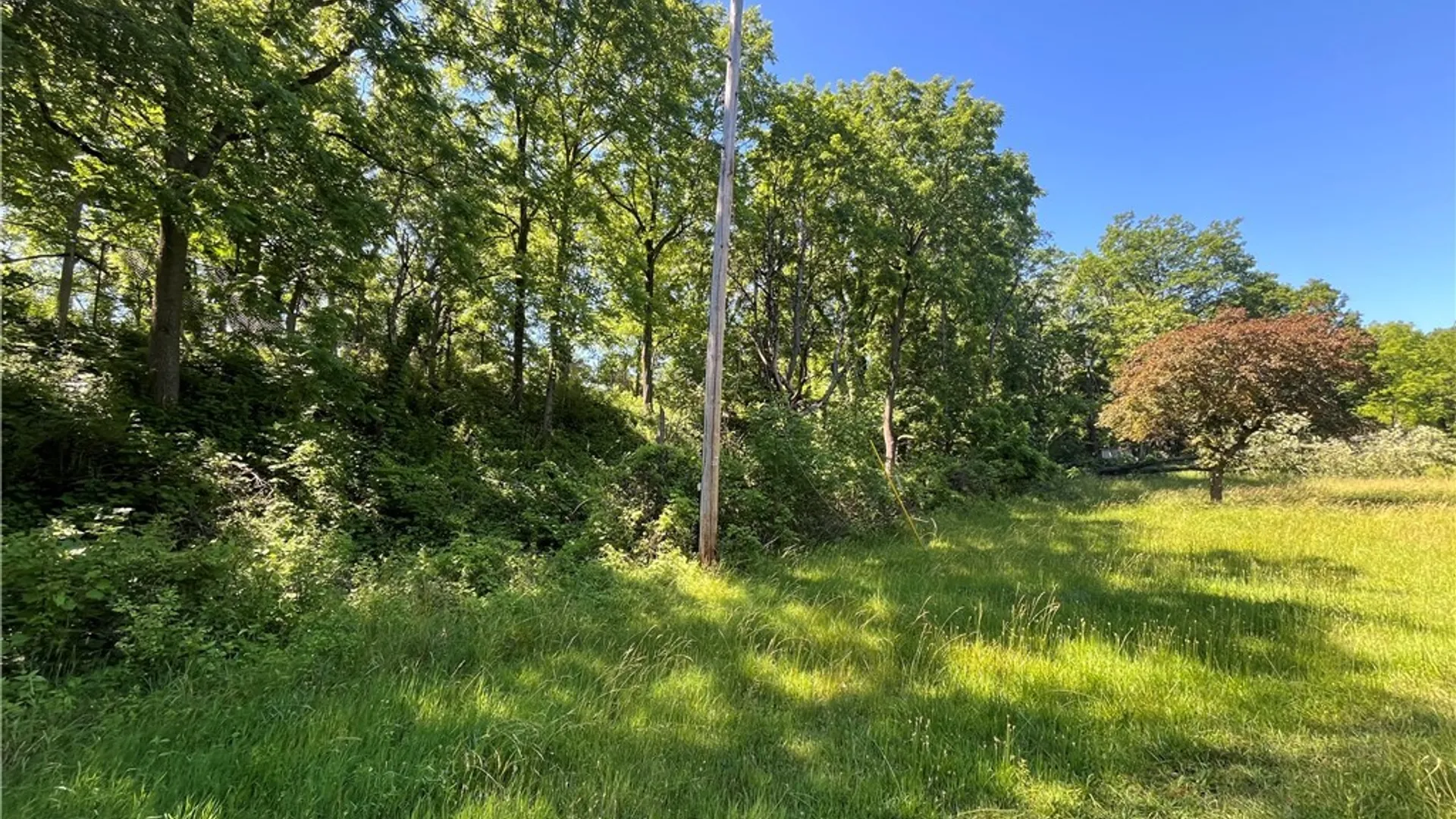 Property at 4880 Ransom Road, Clarence, NY 14301 15